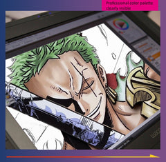 One piece (Solon) hand-painted 3D three-dimensional home decorative painting - Animehouse