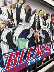 BLEACH <Thirteen Goutei Team> 3D hand-painted - Animehouse